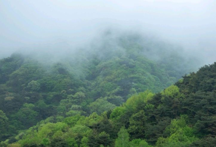 구재봉자연휴양림