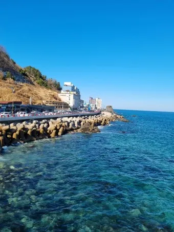 묵호항 배시간표 배편 요금 예약_8