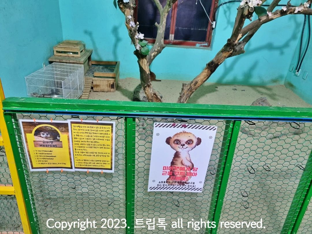 초록색 울타리의 미어캣 사육장