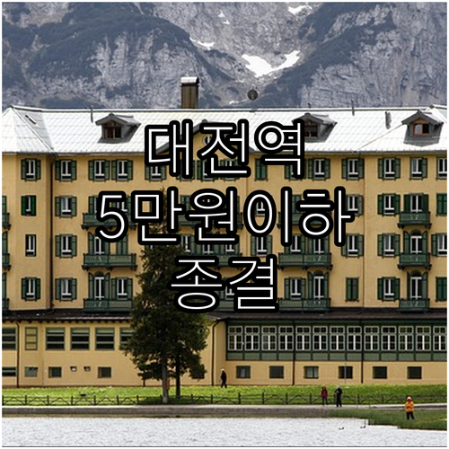 대전역 복합터미널 근처 5만원 이하 ..