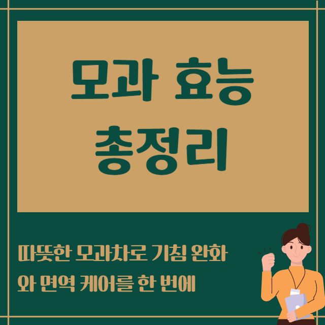모과효능 총정리