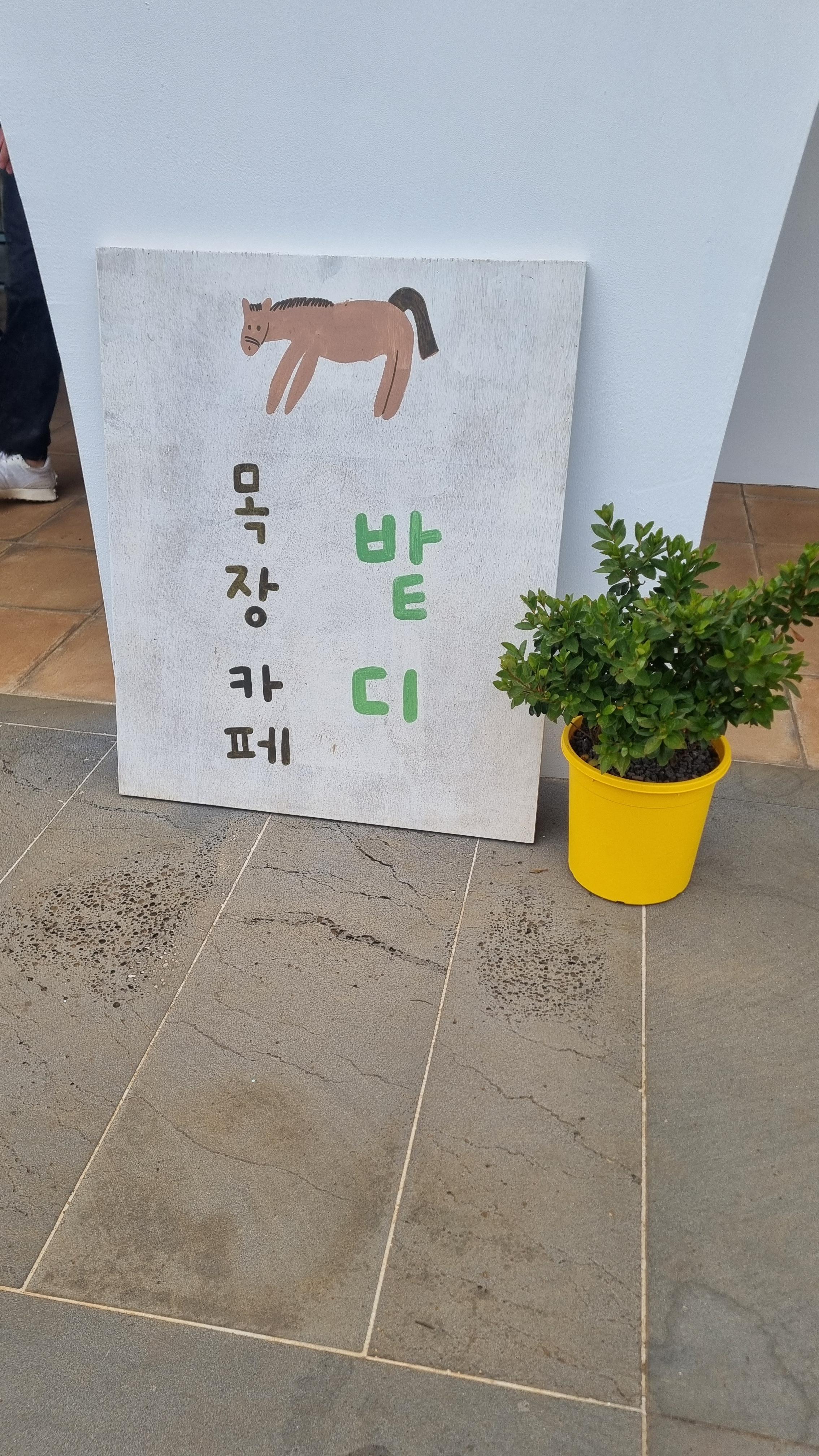 제주 목장카페 밭디