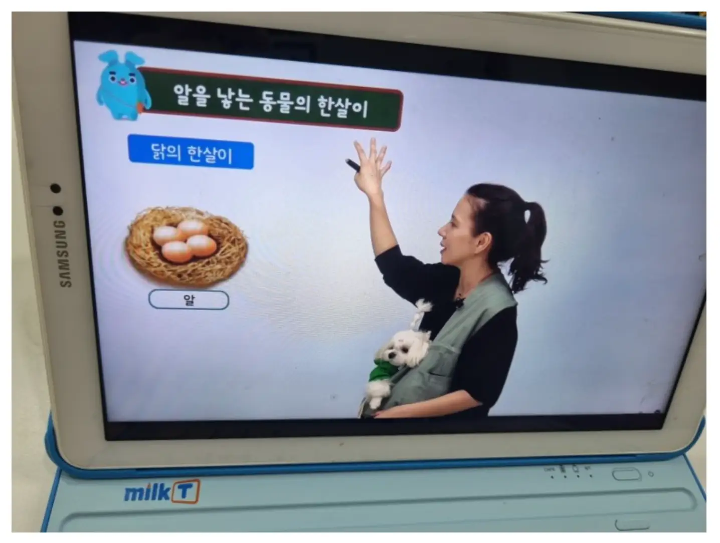 천재교육-밀크티-후기