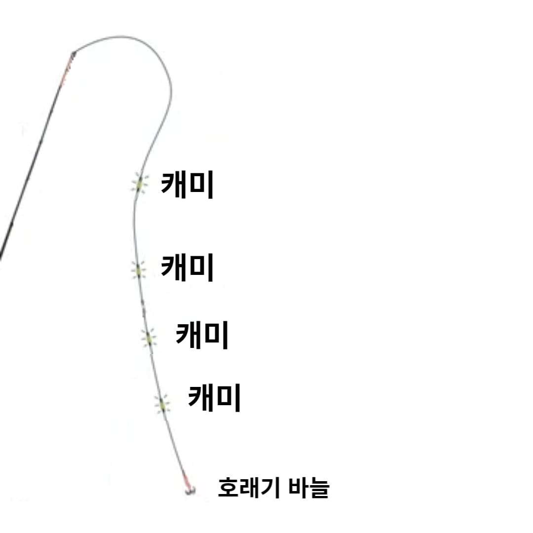 호래기낚시-민장대