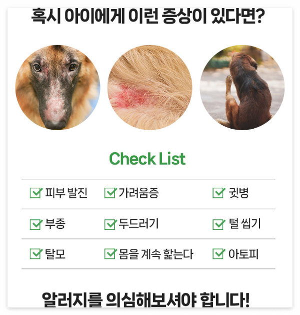 강아지 피부병의 여러 증상