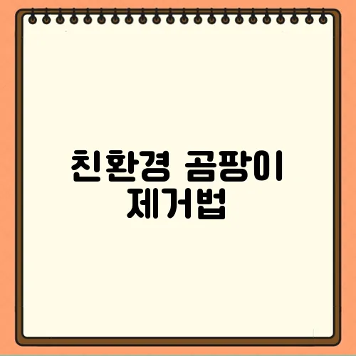 친환경 곰팡이 제거법