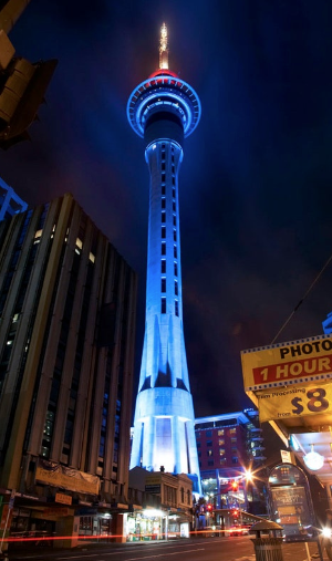 뉴질랜드 신혼여행