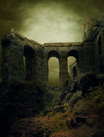 계몽절대주의 군주들의 교육 정책 변화