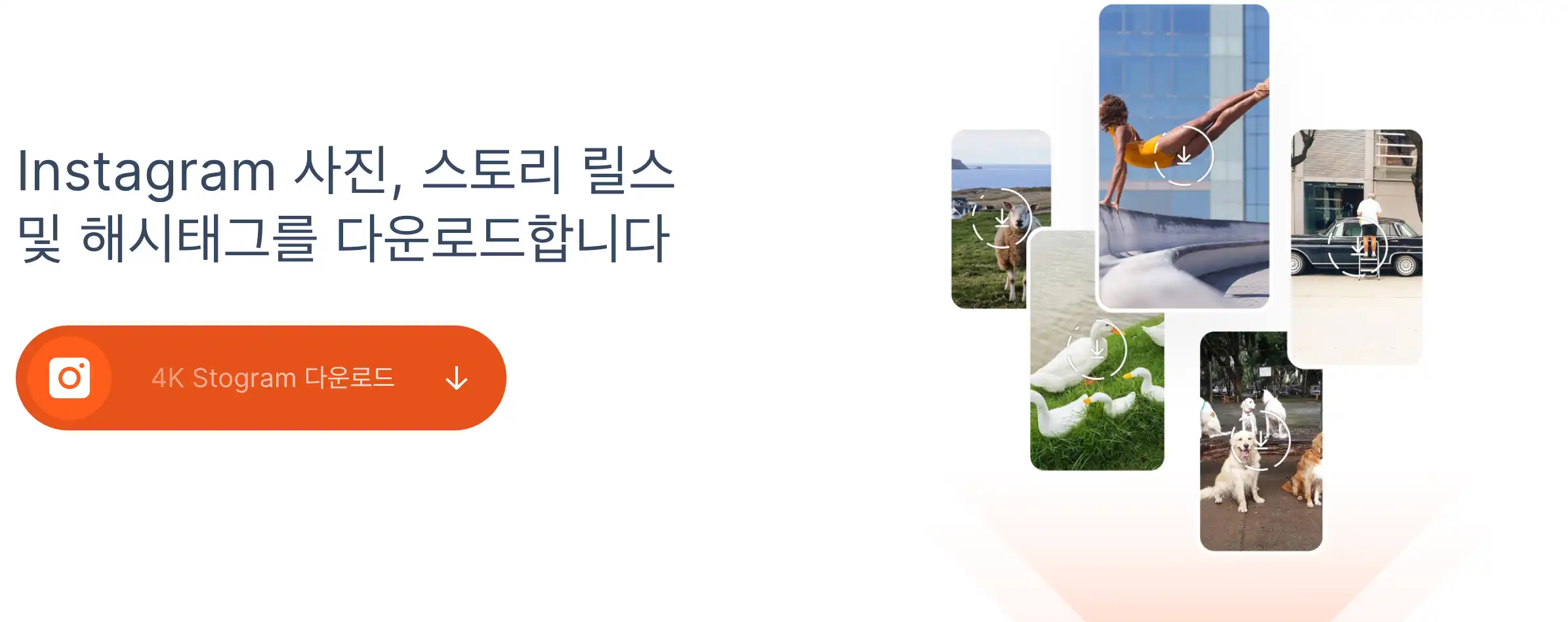 인스타-스토리-몰래보기-다운로드앱