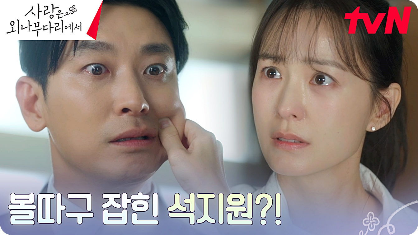 사랑은 외나무다리에서