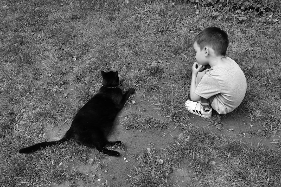 Companionship.