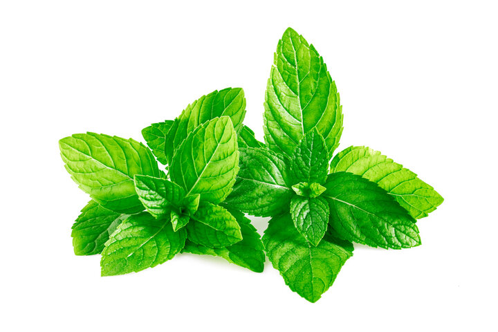 마데카솔 효능, 효과, 사용방법 등 총 정리