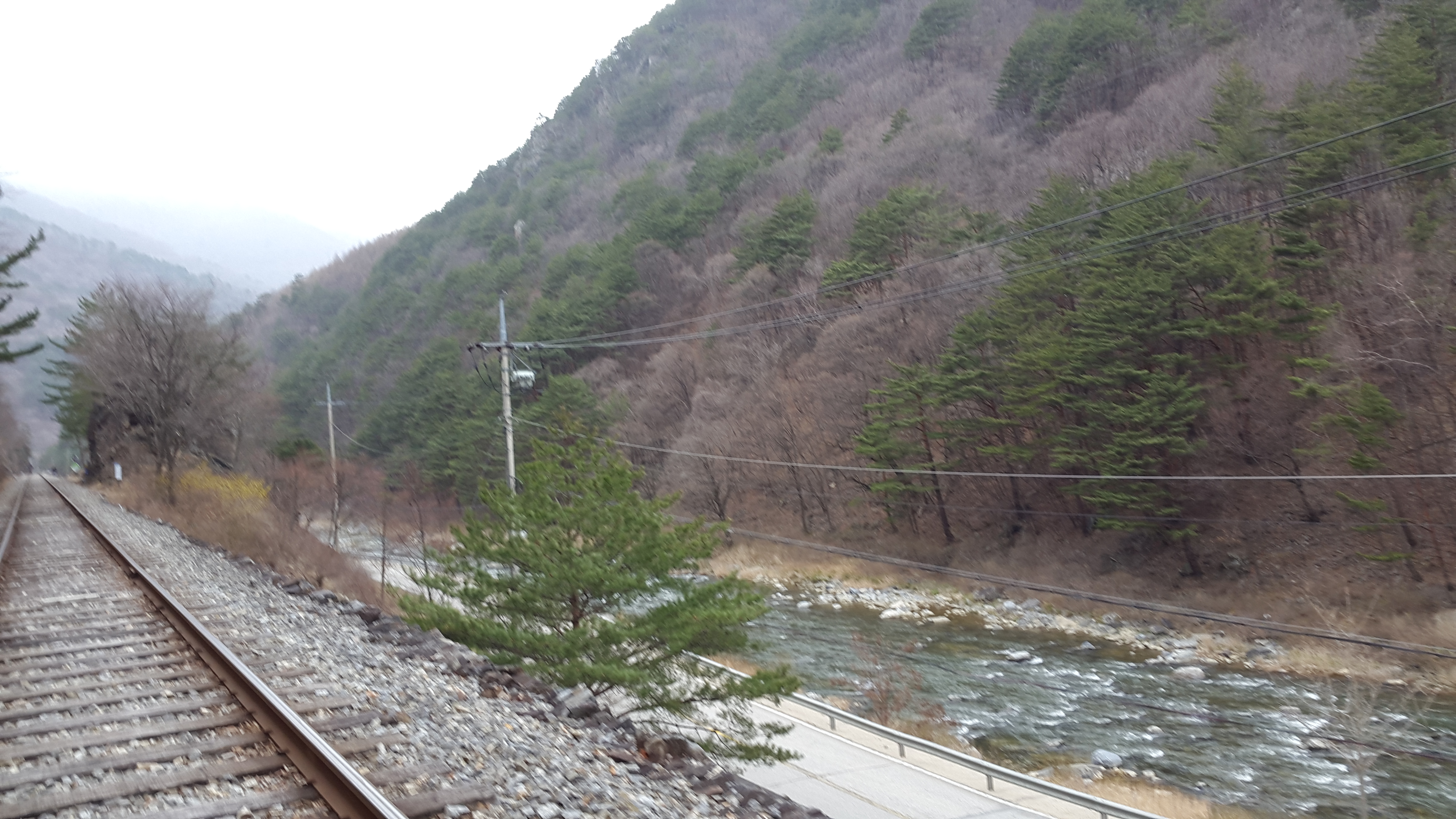 레일바이크 관련 사진