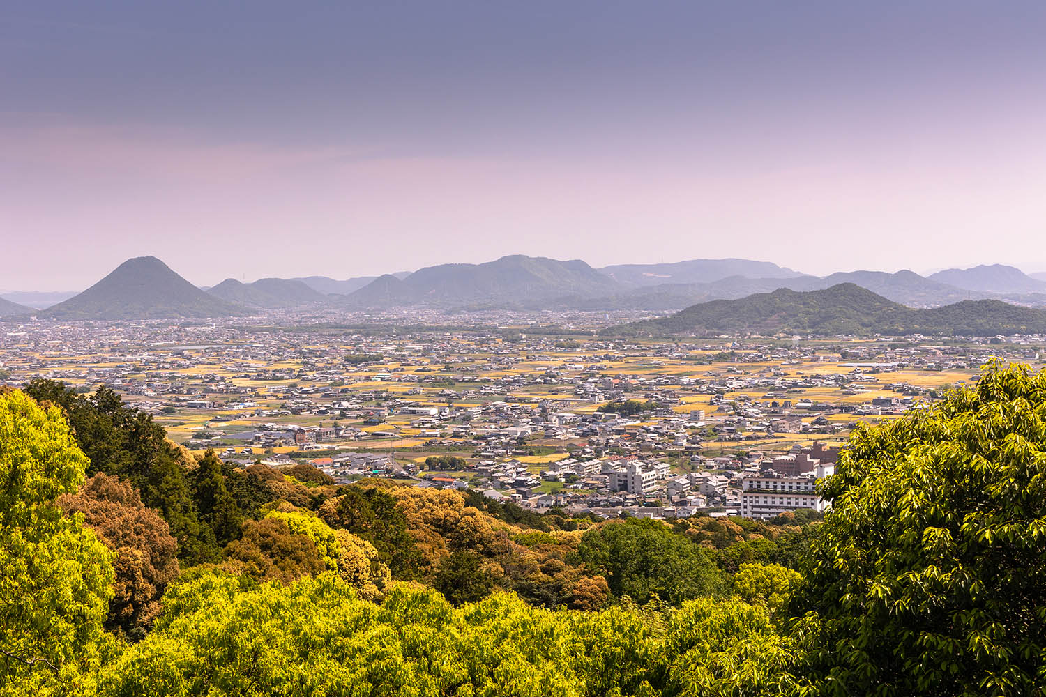 곤피라궁 전망대