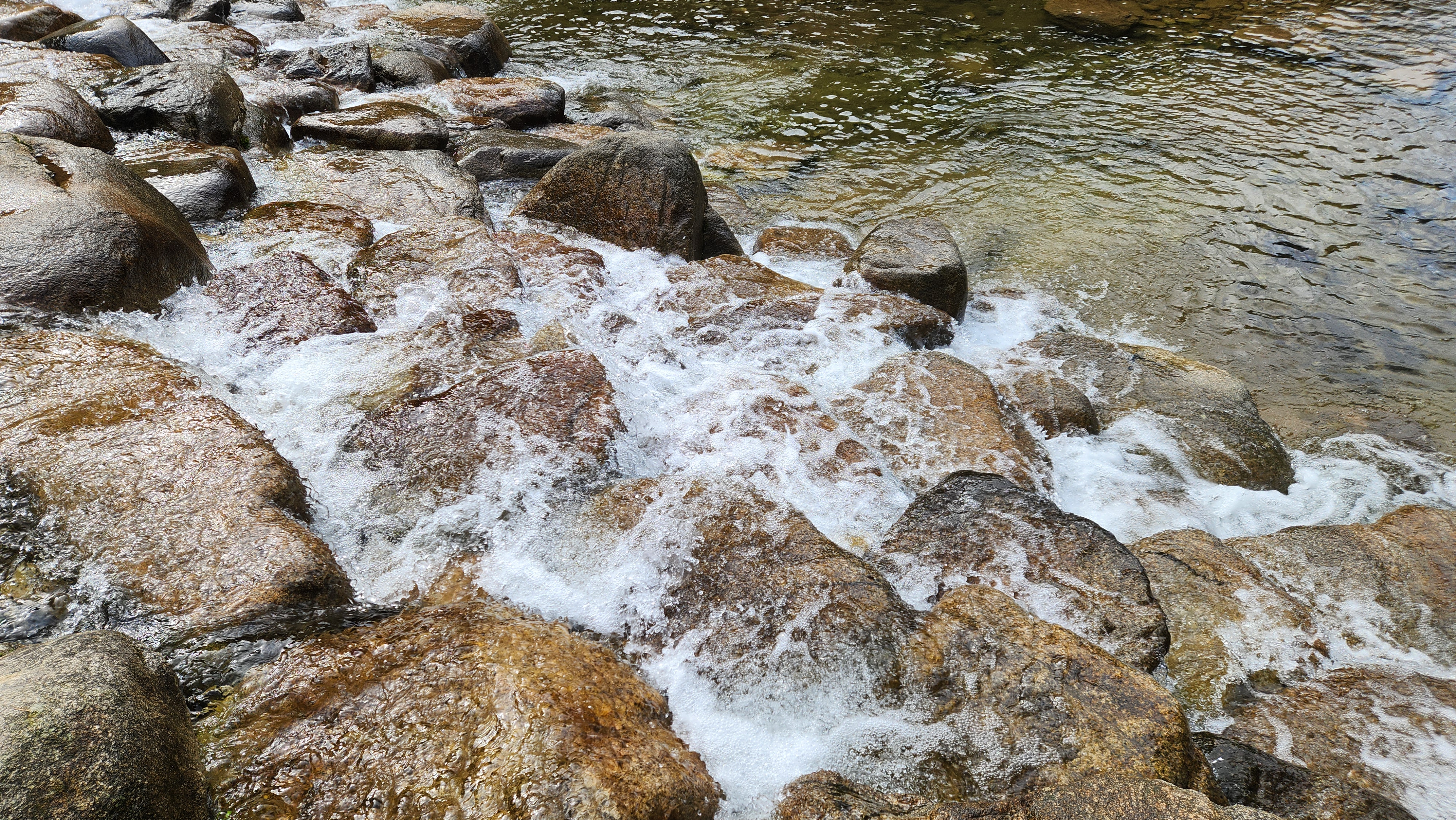 국립춘천숲체원 계곡. 계곡이 넓고 맑아서 여름철 물놀이하기 괜찮아 보인다.