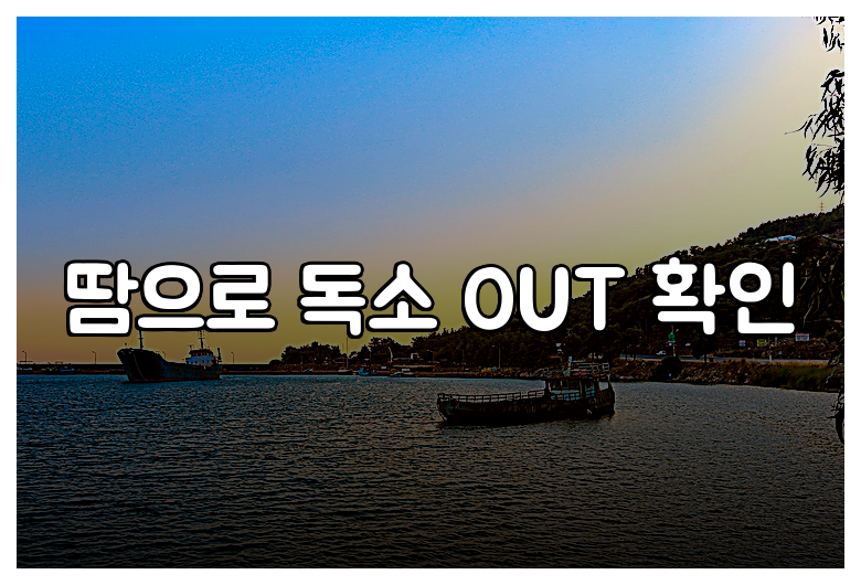 땀으로 독소 OUT 확인