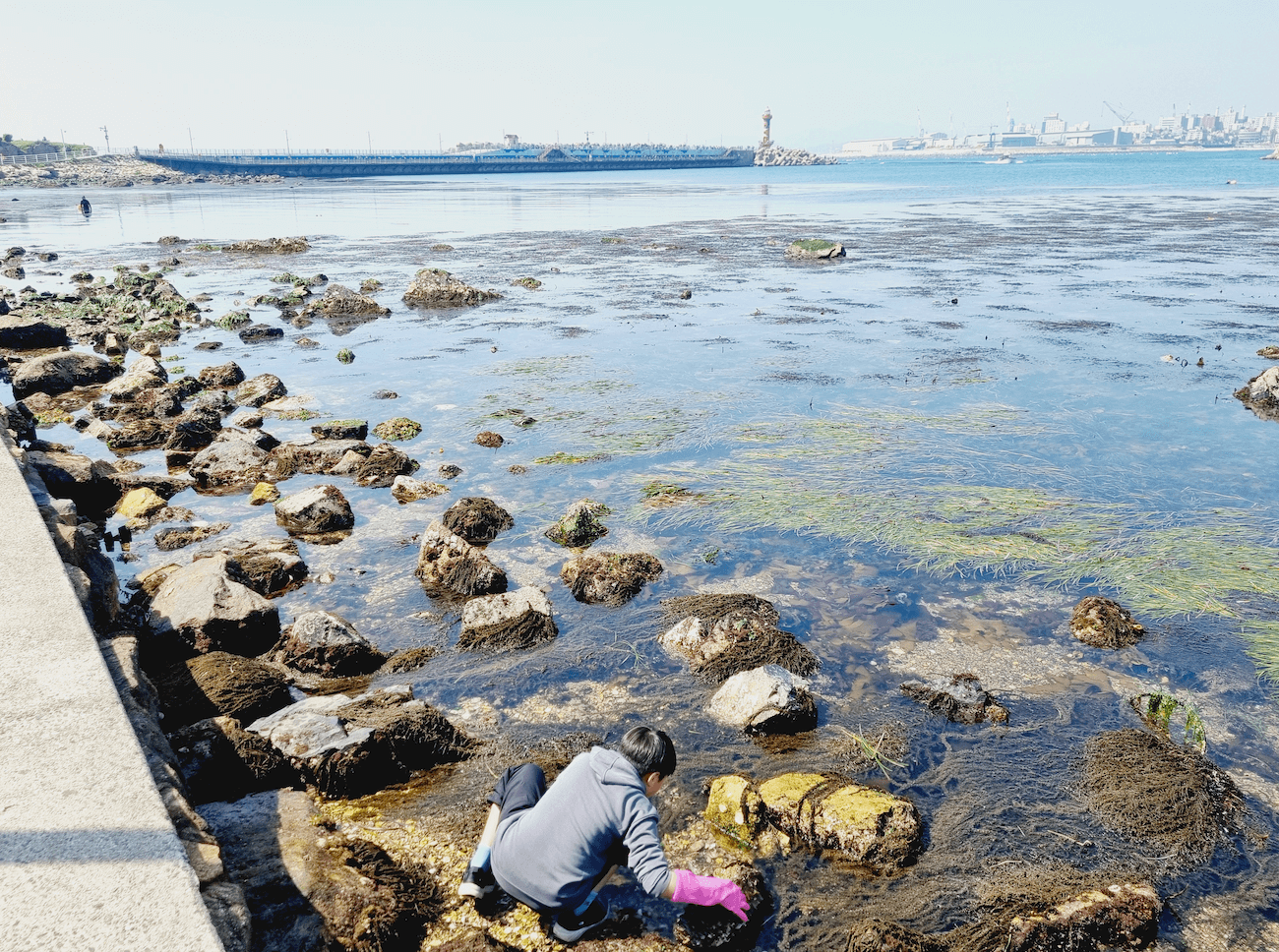 슬도 꽃게 잡이 준비물