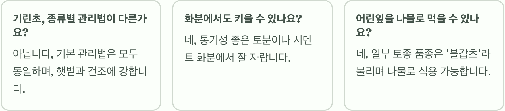 바위에서도 피는 꽃, 기린초 키우기 A to Z