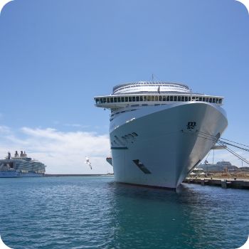 MSC 크루즈 예약 사이트 국내