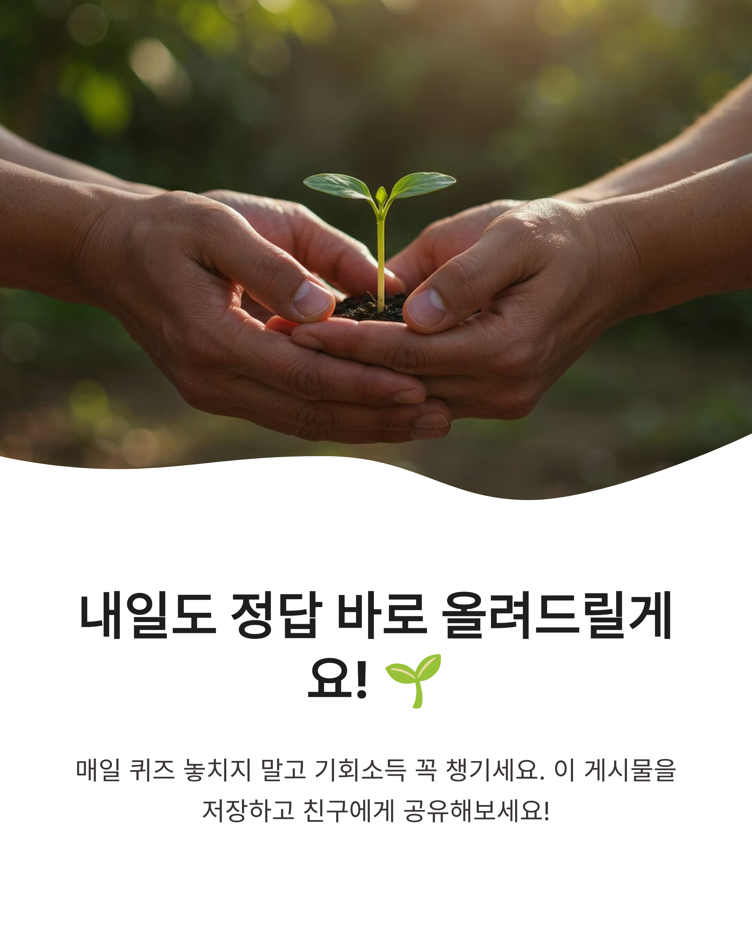 8월 31일 기후행동 퀴즈정답 완벽정리!! 경기도 기후퀴즈 한눈에