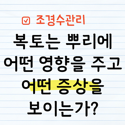 복토 피해