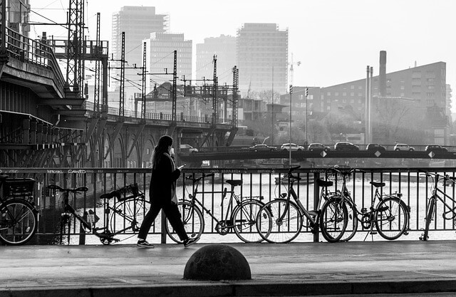 요양기관번호 조회