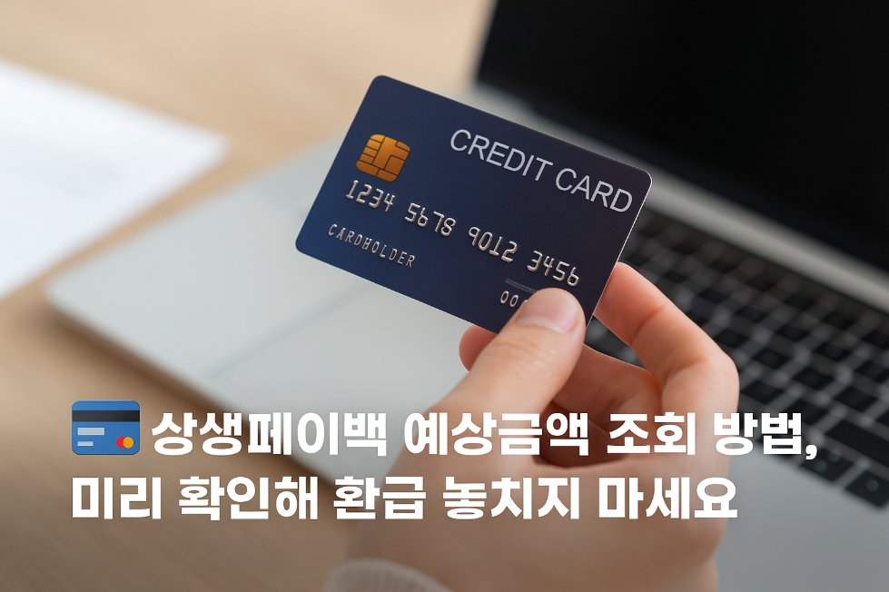 상생페이백 예상금액 조회 방법