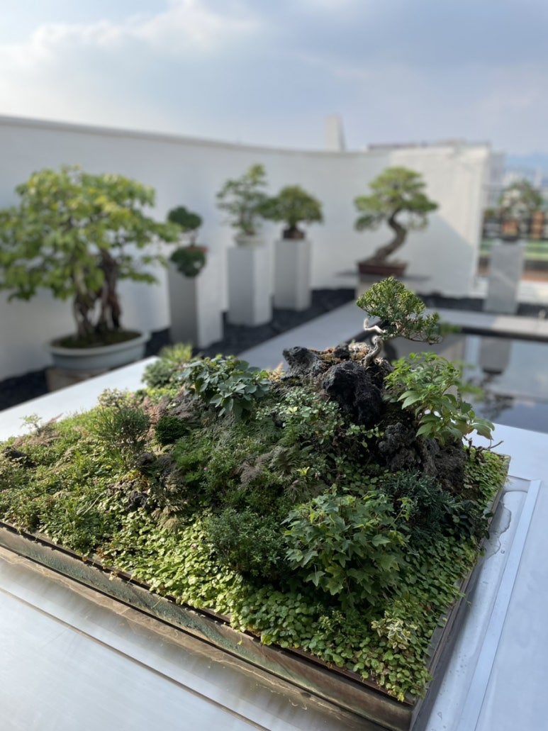 분재 전시