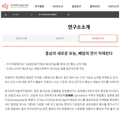 홍삼의 폐암 전이 억제 효능