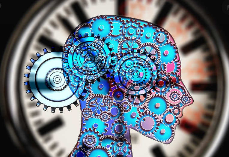 신경과학과 응용심리학의 만남: 두 분야의 접점