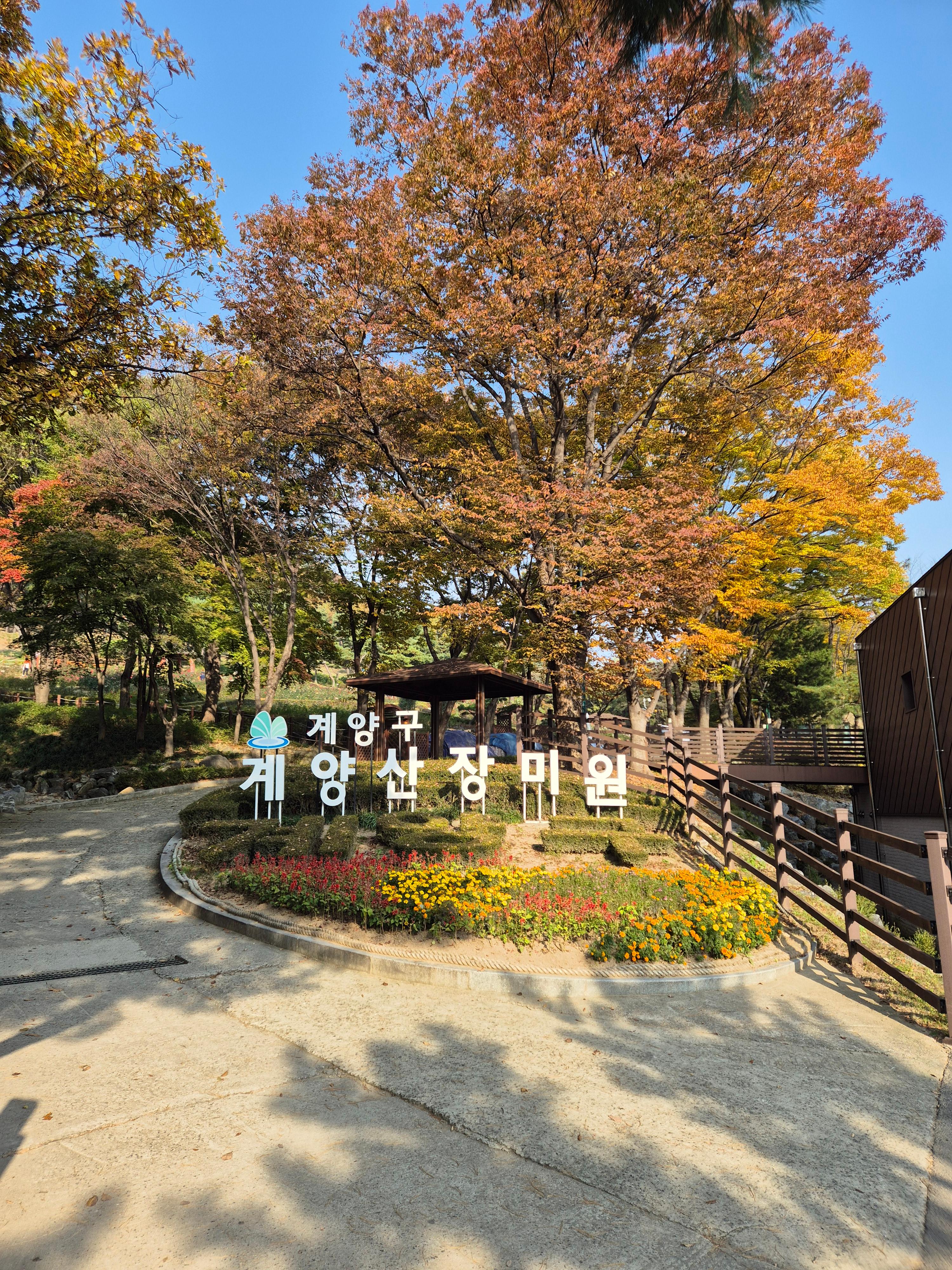 계양산 인천둘레길 내려오는 길