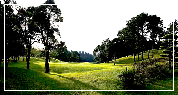 가고시마공항36cc전경1