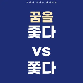 좇다 쫓다 맞춤법 맞는 표현 예문_17