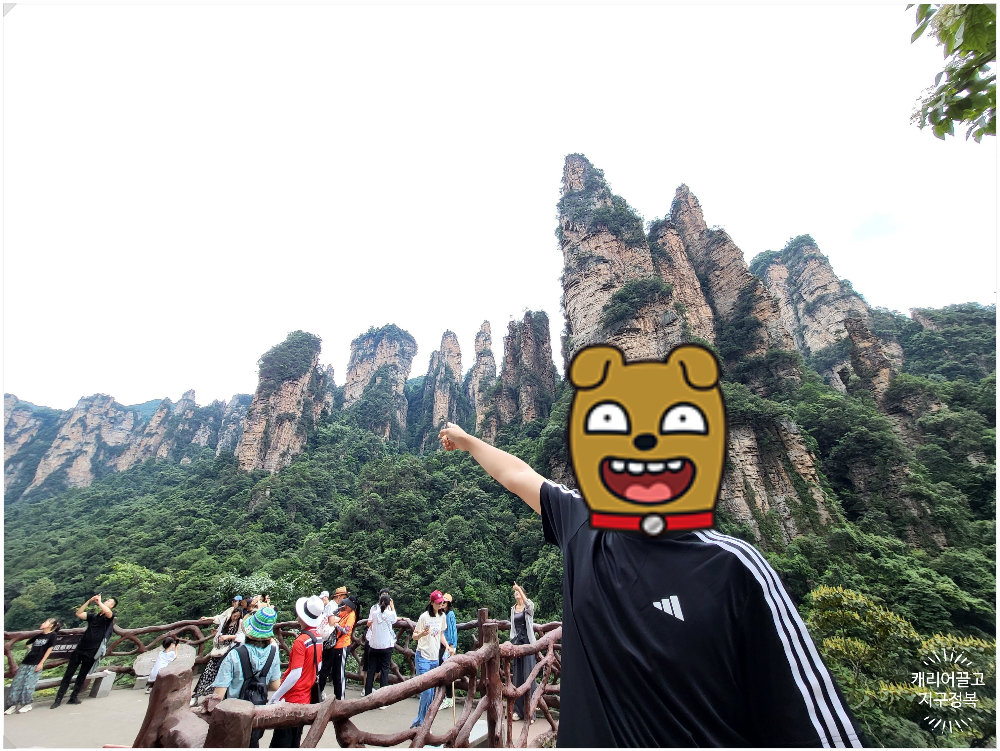 중국 장가계 원가계 백룡 엘리베이터