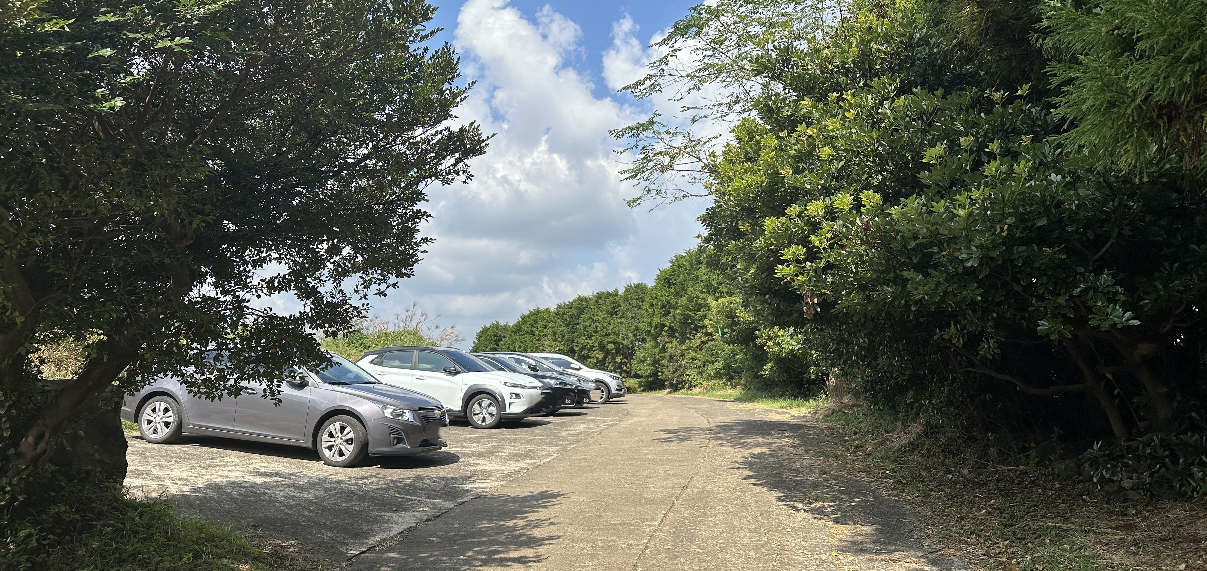 높은오름 주차장