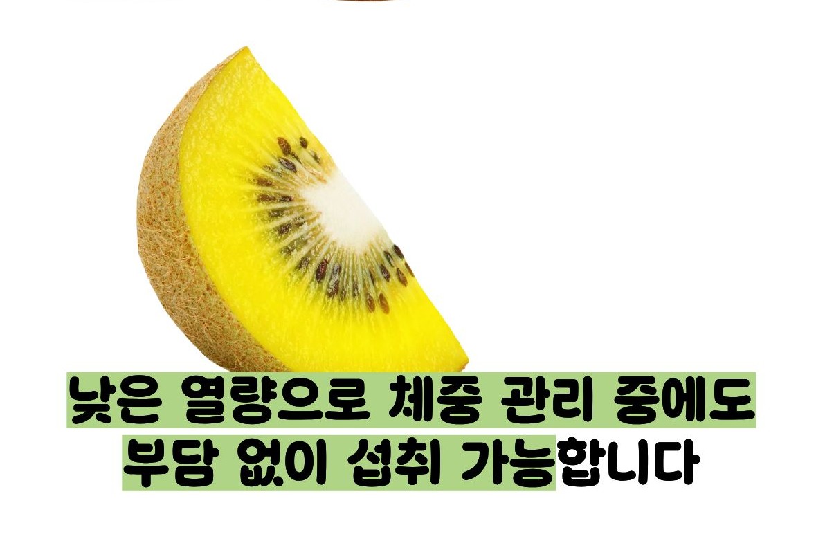 키위 효능