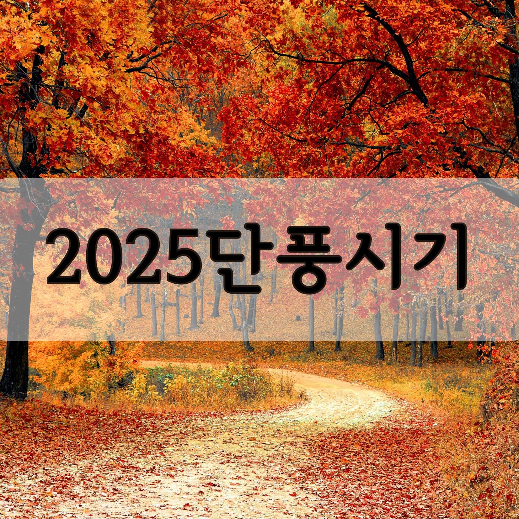 2025 단풍시기 명소 추천