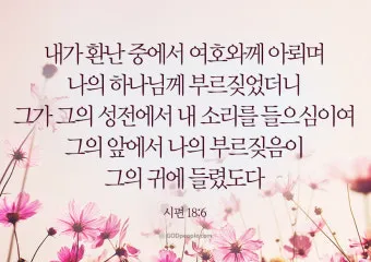 시편 62장 1절 읽기 - 나의 영혼이 잠잠히 하나님만 바람이여 나의 구원이 그에게서 나오는도다_21