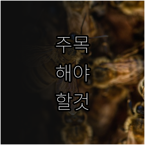 2025년 인천 부평구 기초수급자 쓰..