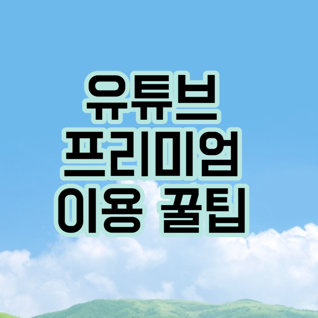 유튜브 프리미엄 이용할 때 꿀팁