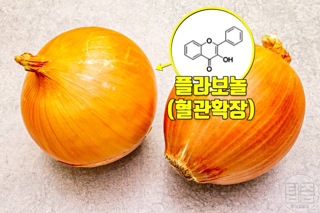 혈액순환 잘되는 음식 양파,천연 혈관확장제 추천