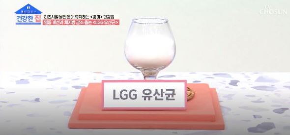 lgg유산균_효능후기