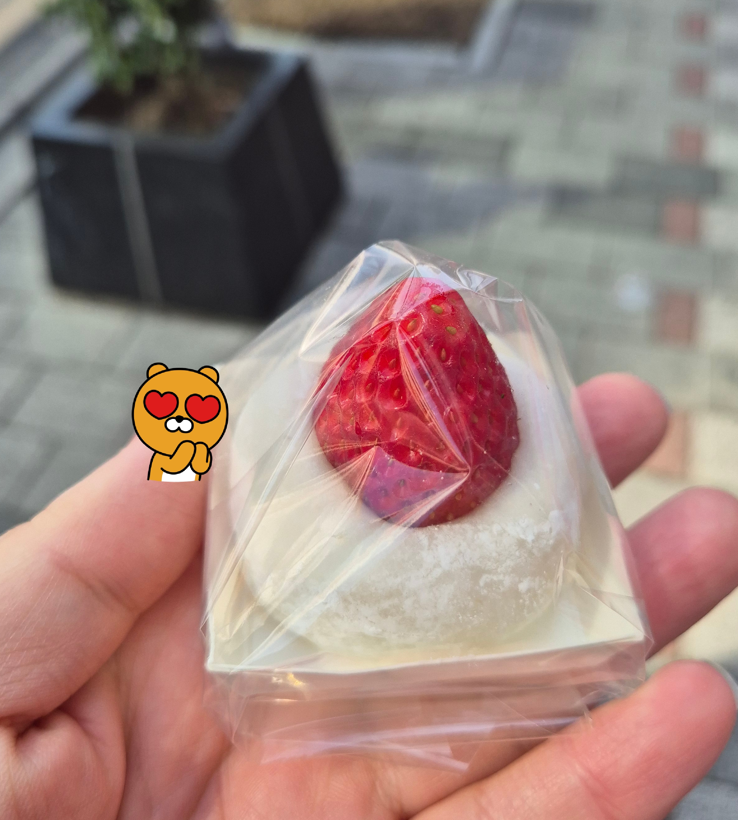 대전 영춘모찌 딸기모찌 하얀앙금