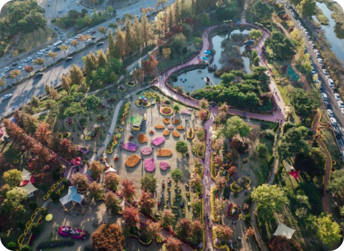 유성국화축제 일정부터 주차장 족욕체험까지! 2025 완벽 가이드