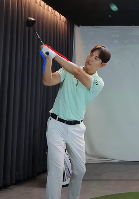 펴는 손등과 굽히는 손등