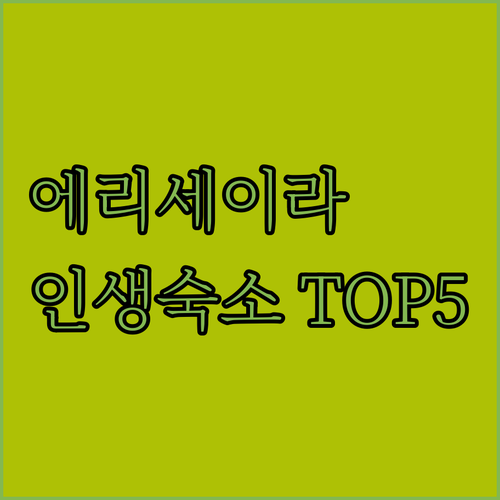 포르투갈 마프라 에리세이라 숙소 5곳..