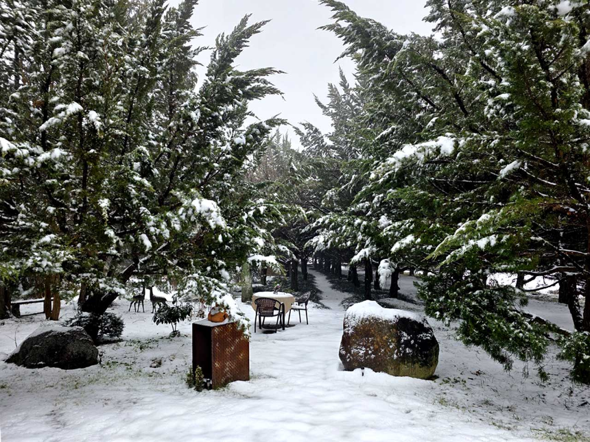 특색있고 아름다운 민간 정원 30선 추천 여행 - 30. 구례 천개의 향나무숲 정원