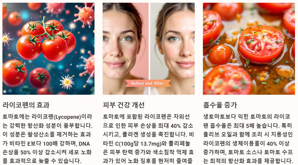 토마토의 주요 효능