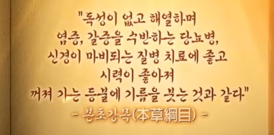 구기자