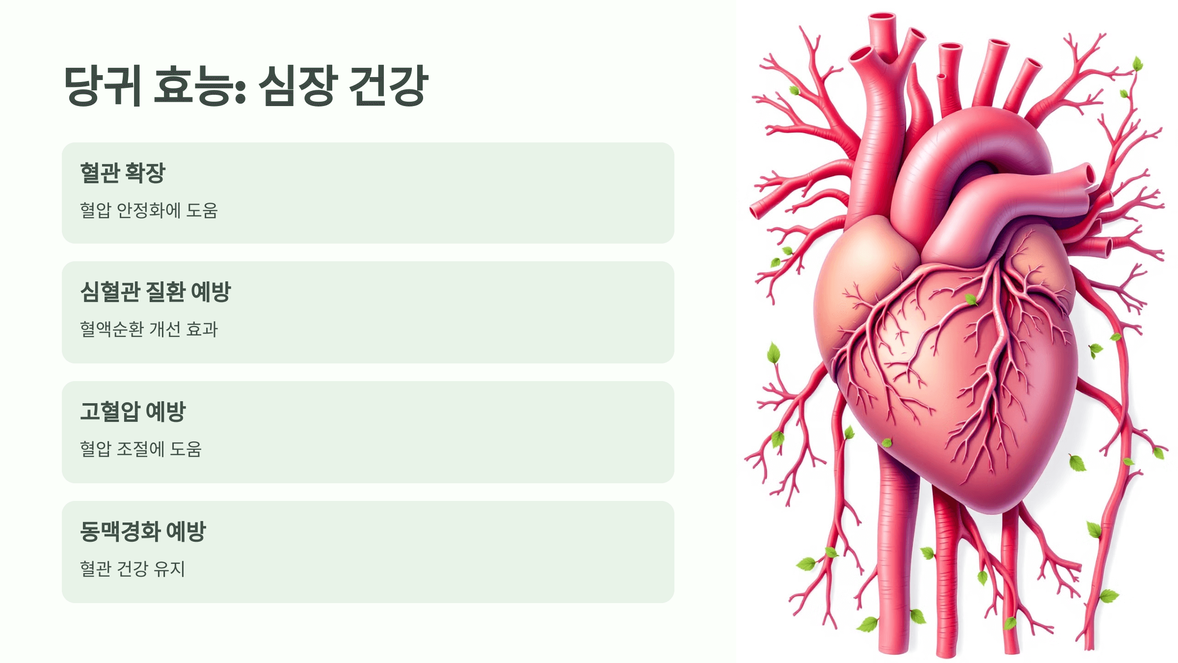 당귀 사진입니다.